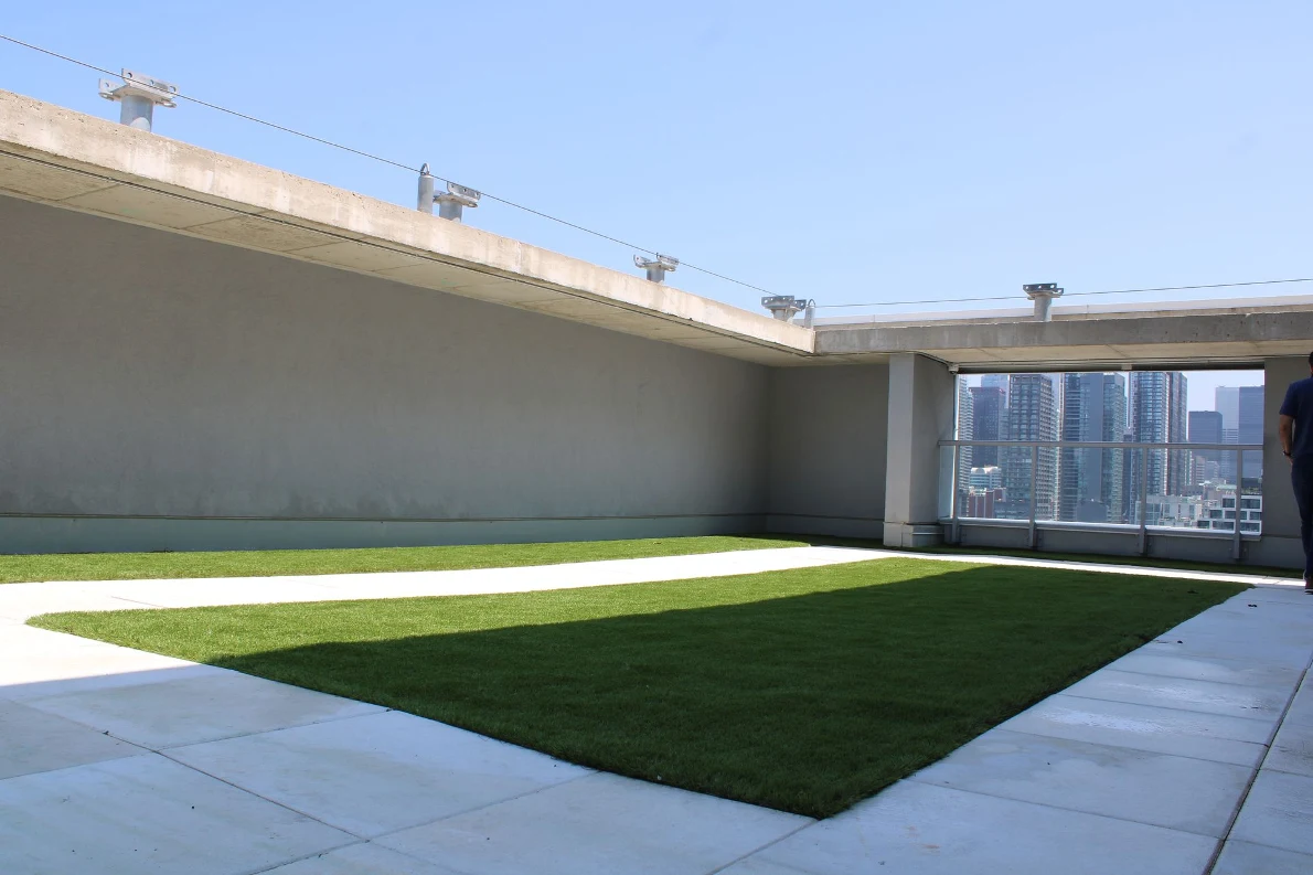 Dog Run Revamp - Minto Properties — view 3