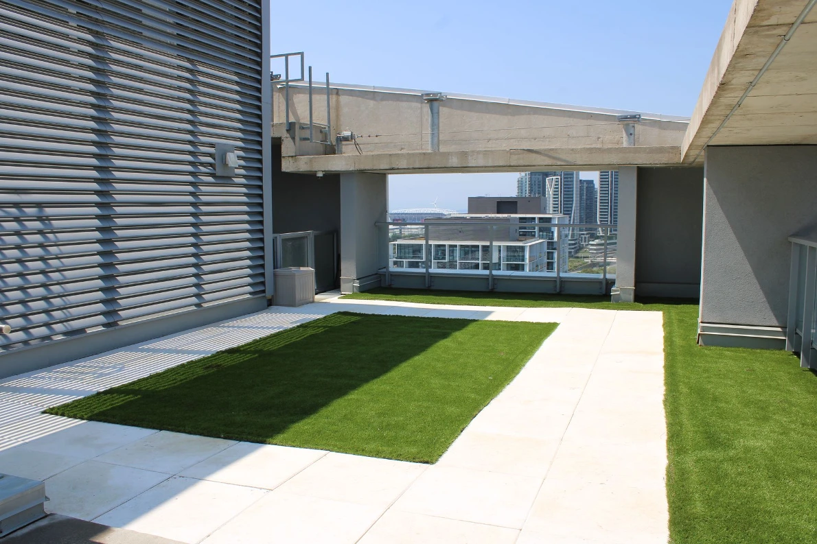 Dog Run Revamp - Minto Properties — Minto Communities - Dog Run