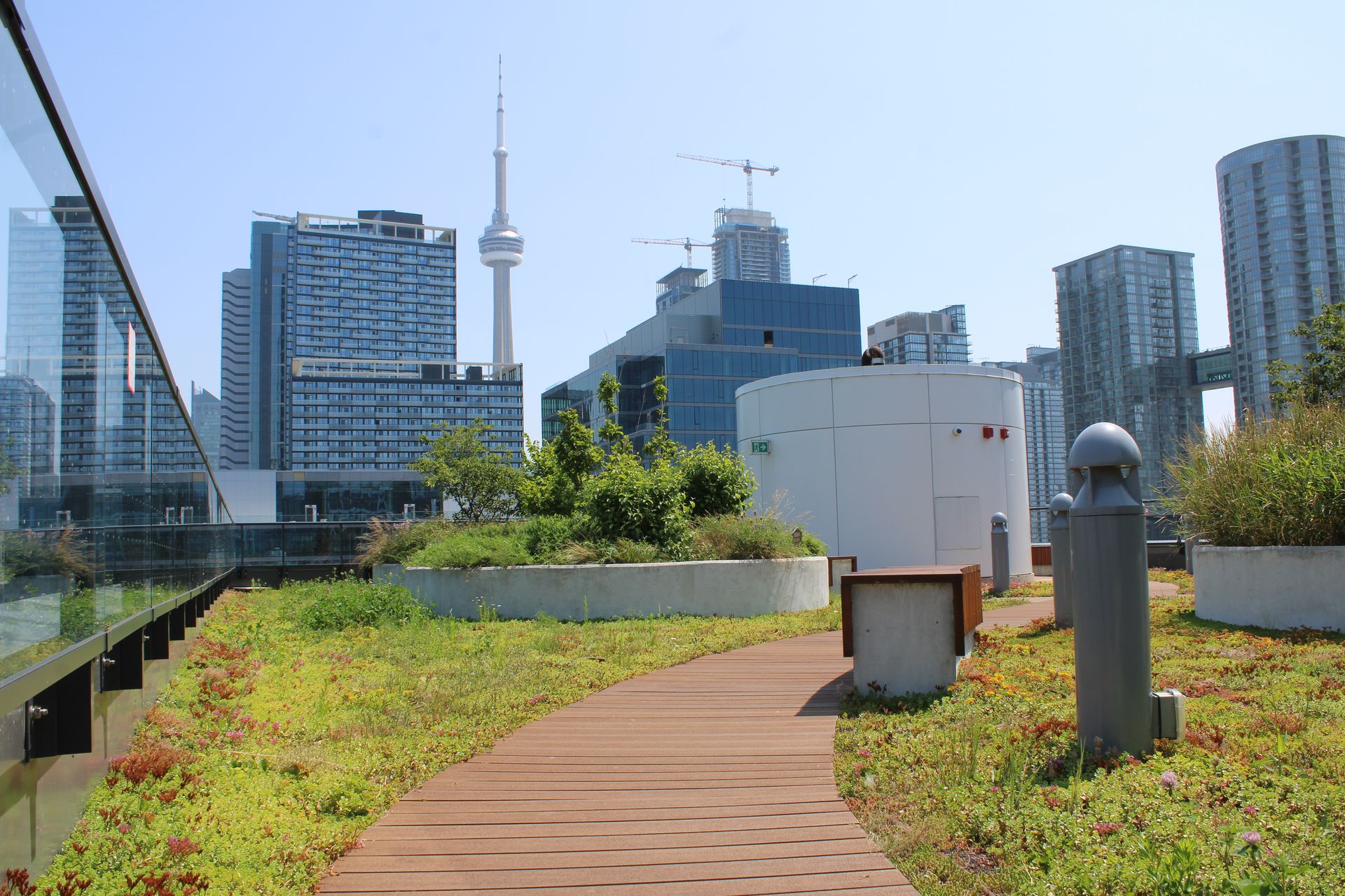 Exterior Decking Replacement - Minto Properties — view 6