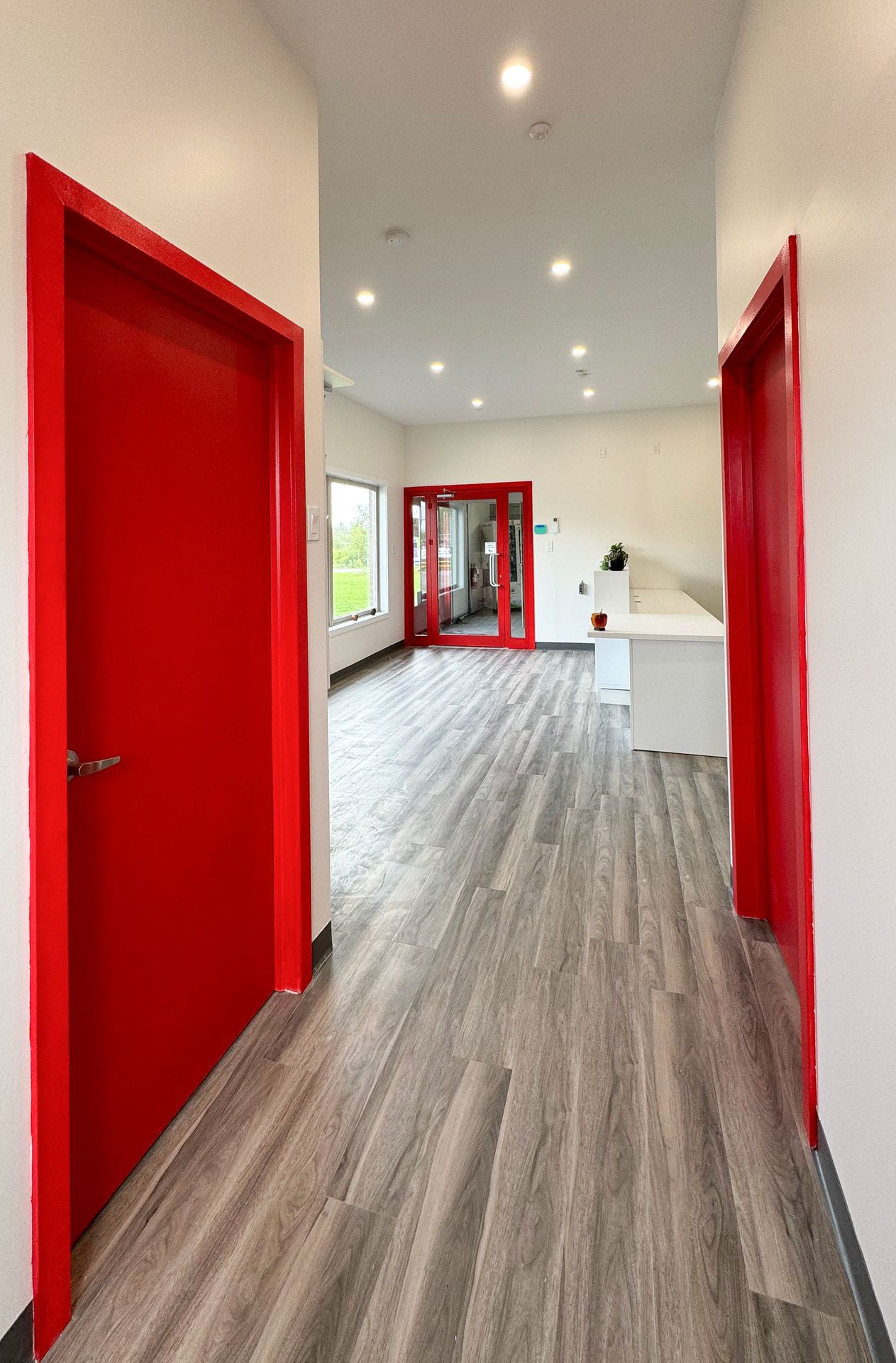 Office Renovation - Timbercreek Capital — view 3